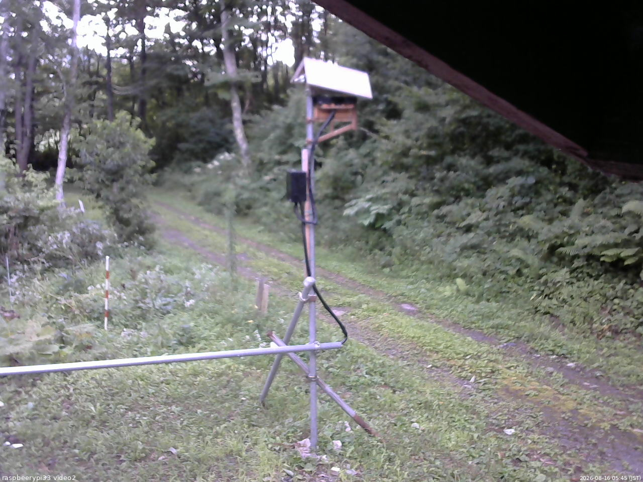 長野県菅平高原 ゆたか山荘 南側 2026/08/16 05:45