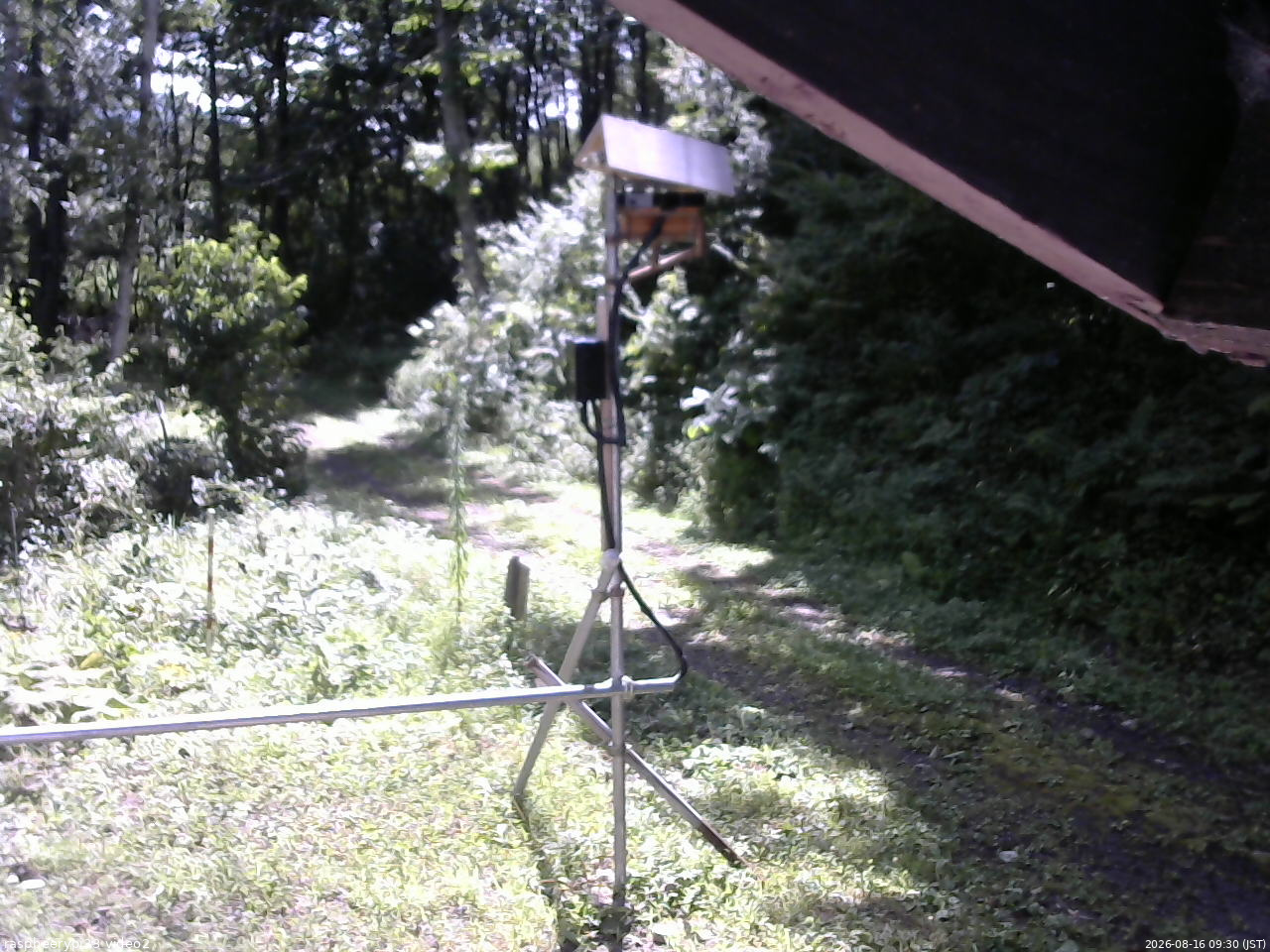 長野県菅平高原 ゆたか山荘 南側 2026/08/16 09:30