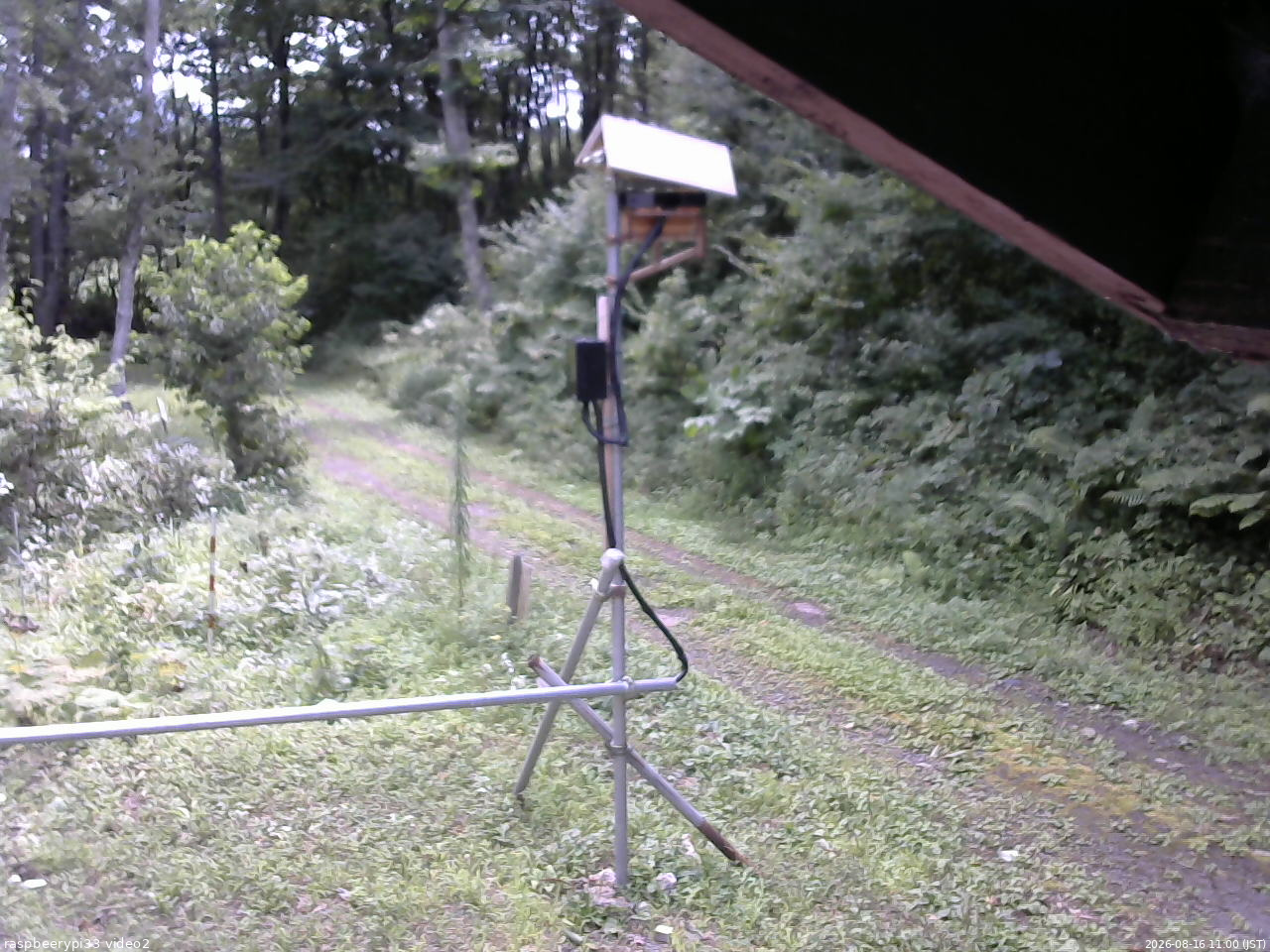長野県菅平高原 ゆたか山荘 南側 2026/08/16 11:00