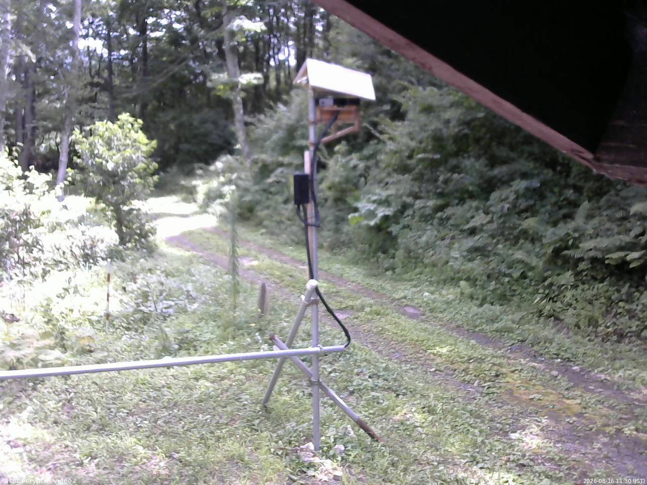 長野県菅平高原 ゆたか山荘 南側 2026/08/16 11:30