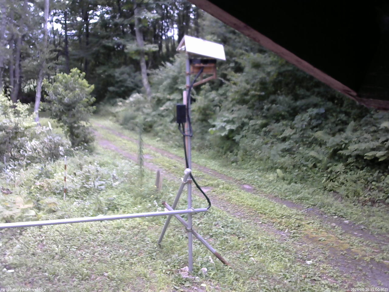 長野県菅平高原 ゆたか山荘 南側 2026/08/16 12:00