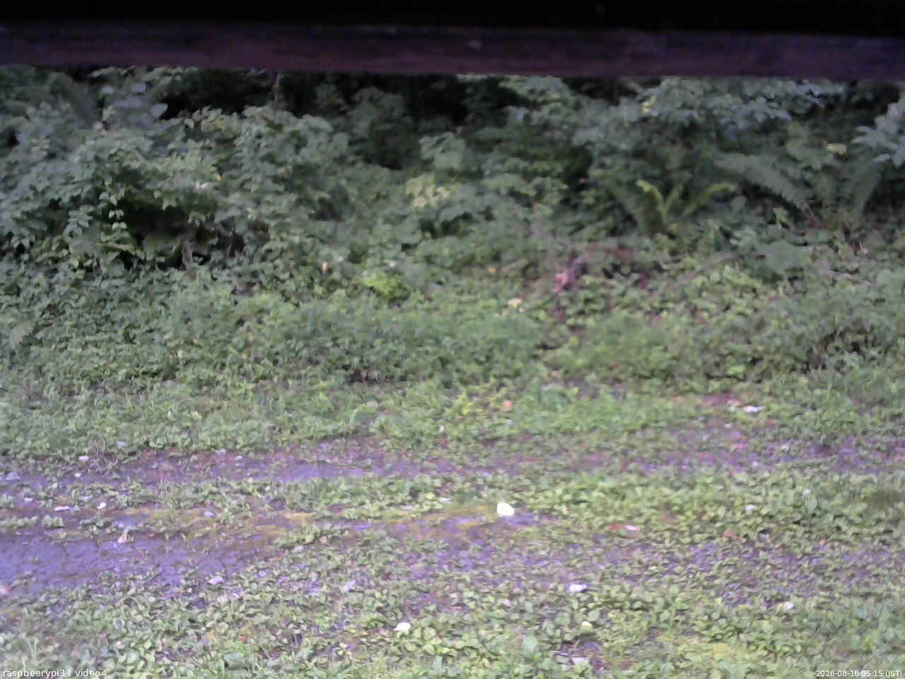 長野県菅平高原 ゆたか山荘 東側(坂下) 2026/08/16 05:15