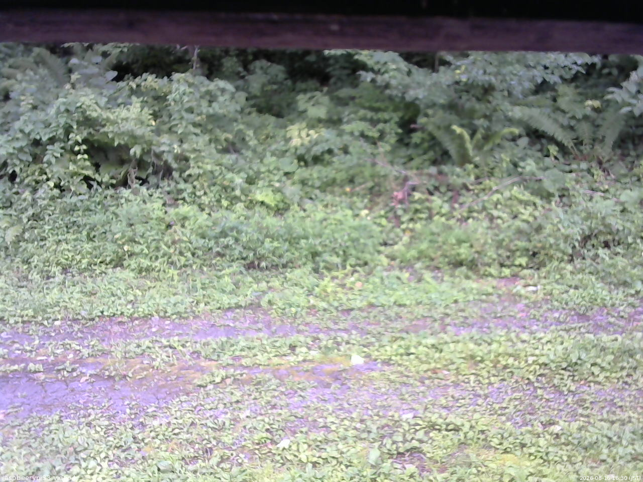 長野県菅平高原 ゆたか山荘 東側(坂下) 2026/08/16 16:30