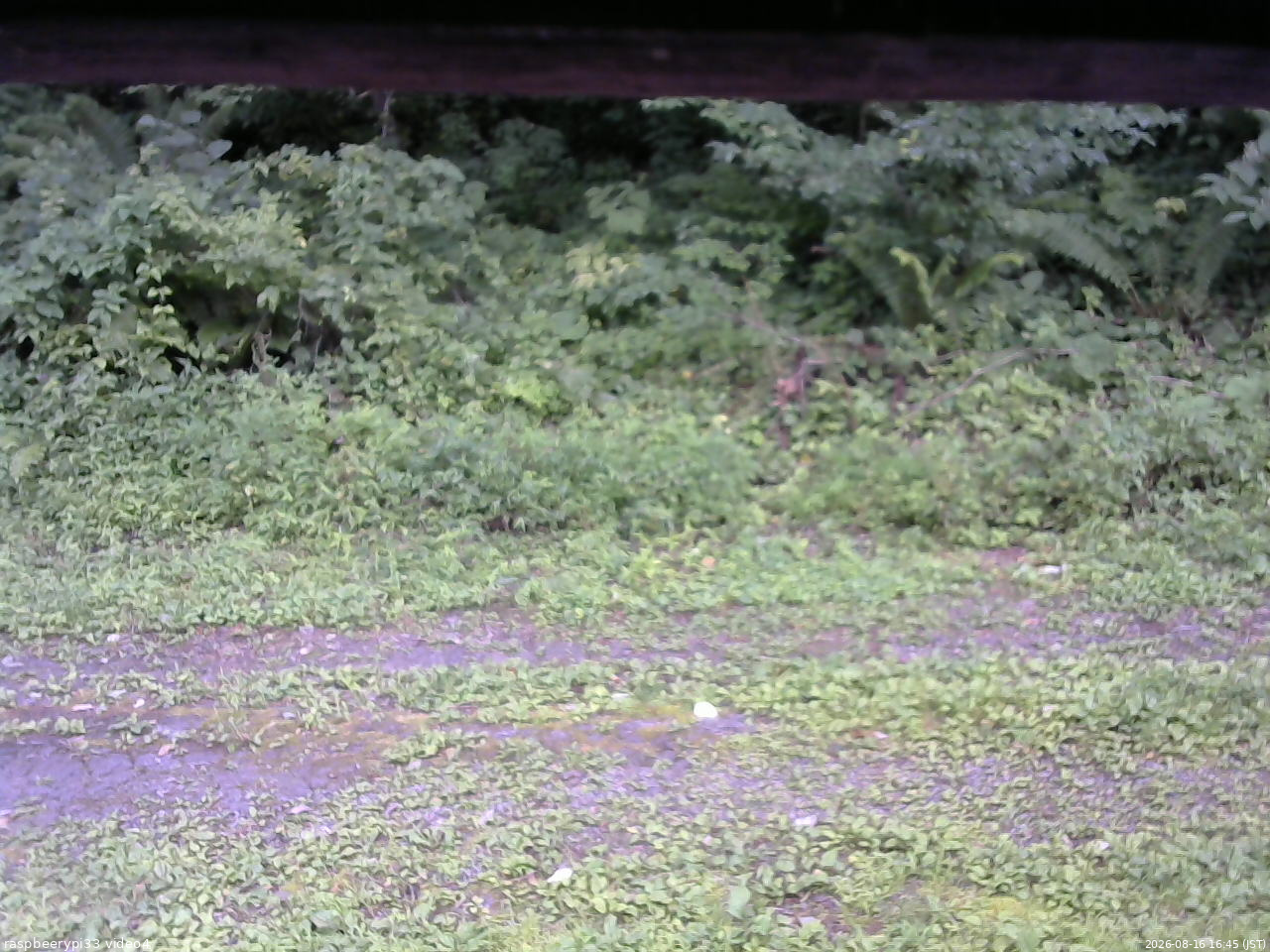 長野県菅平高原 ゆたか山荘 東側(坂下) 2026/08/16 16:45