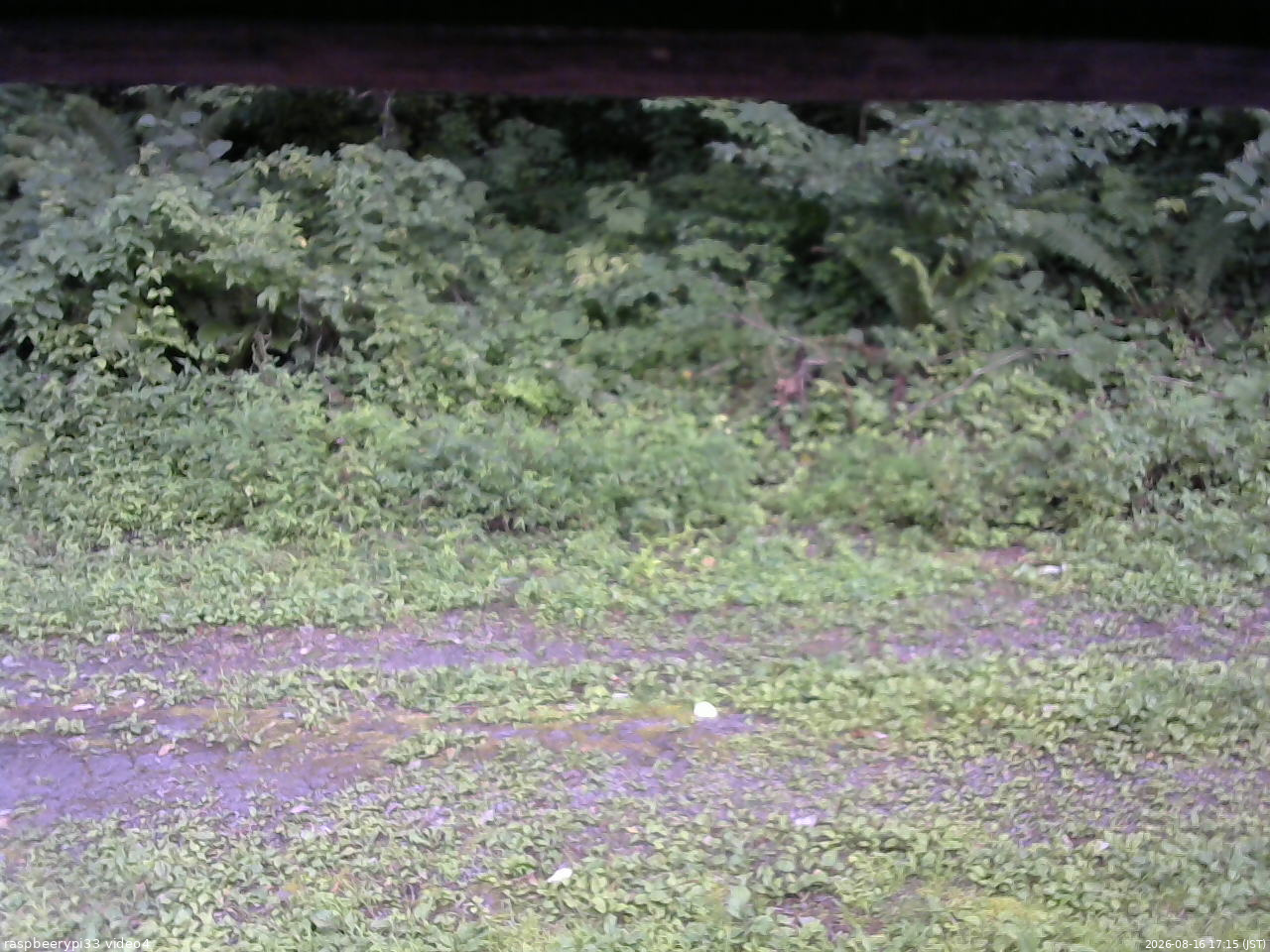 長野県菅平高原 ゆたか山荘 東側(坂下) 2026/08/16 17:15