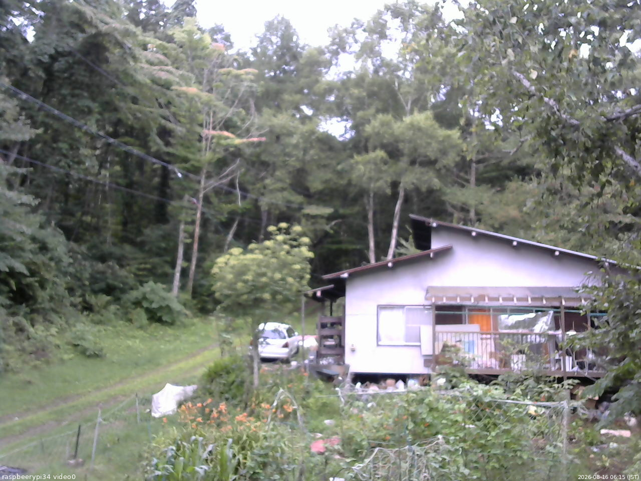 長野県菅平高原 ゆたか山荘 西側(坂上) 2026/08/16 06:15