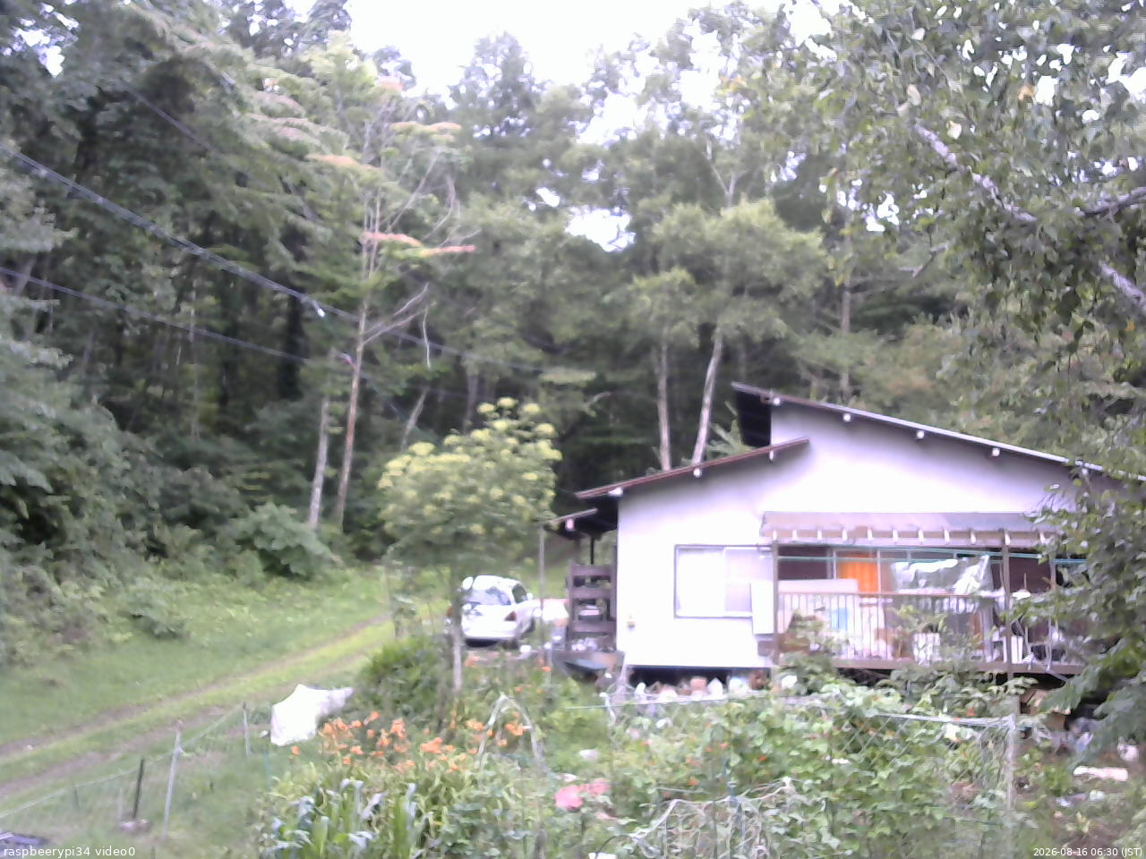 長野県菅平高原 ゆたか山荘 西側(坂上) 2026/08/16 06:30