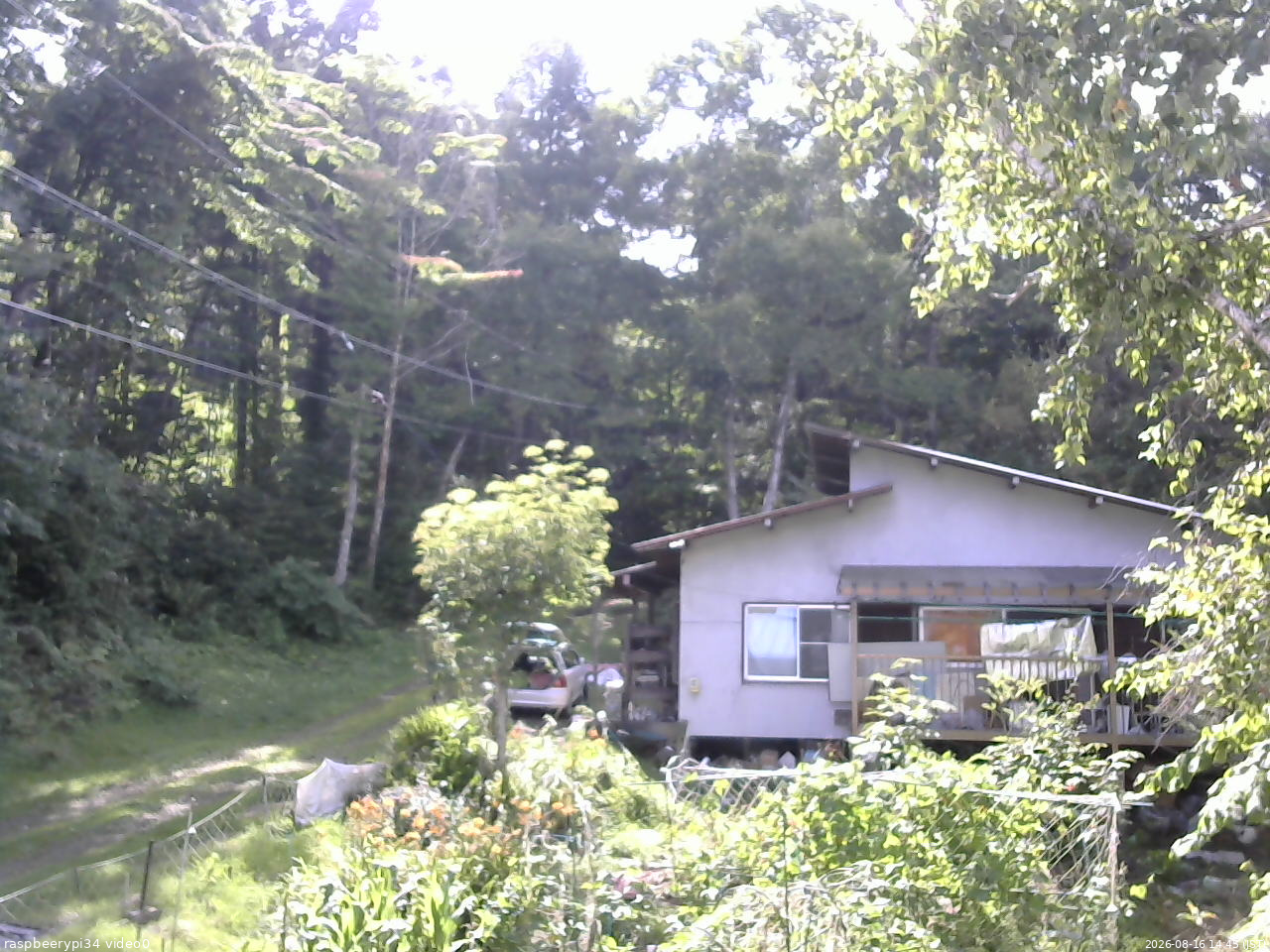 長野県菅平高原 ゆたか山荘 西側(坂上) 2026/08/16 14:45