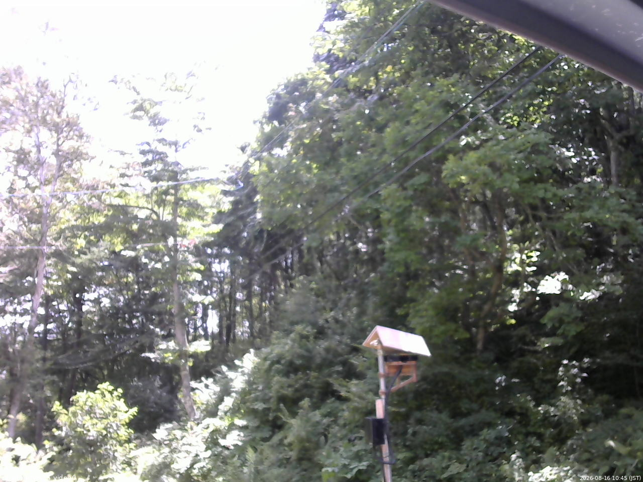 長野県菅平高原 ゆたか山荘 温度計 2026/08/16 10:45