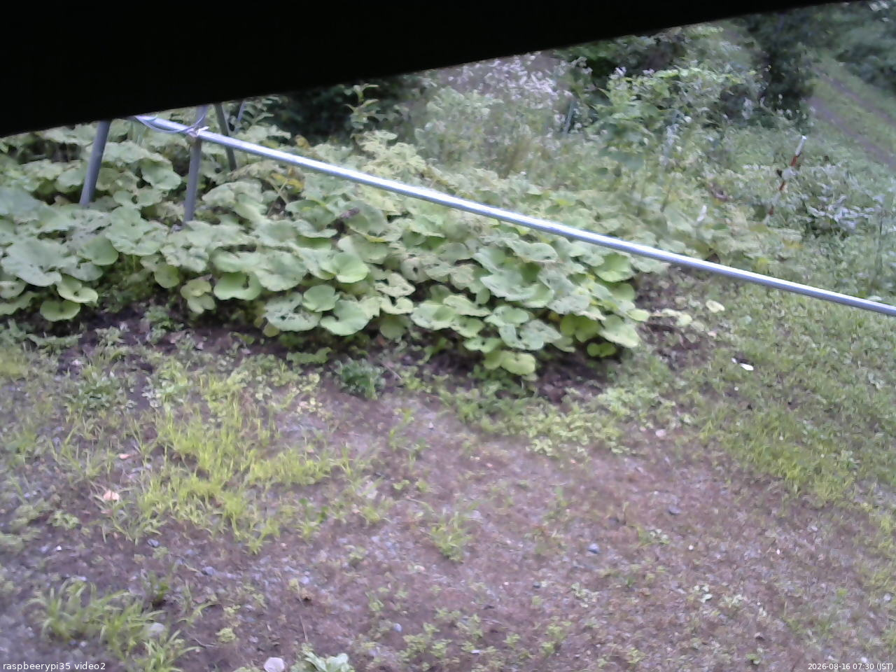 長野県菅平高原 ゆたか山荘 駐車場 2026/08/16 07:30