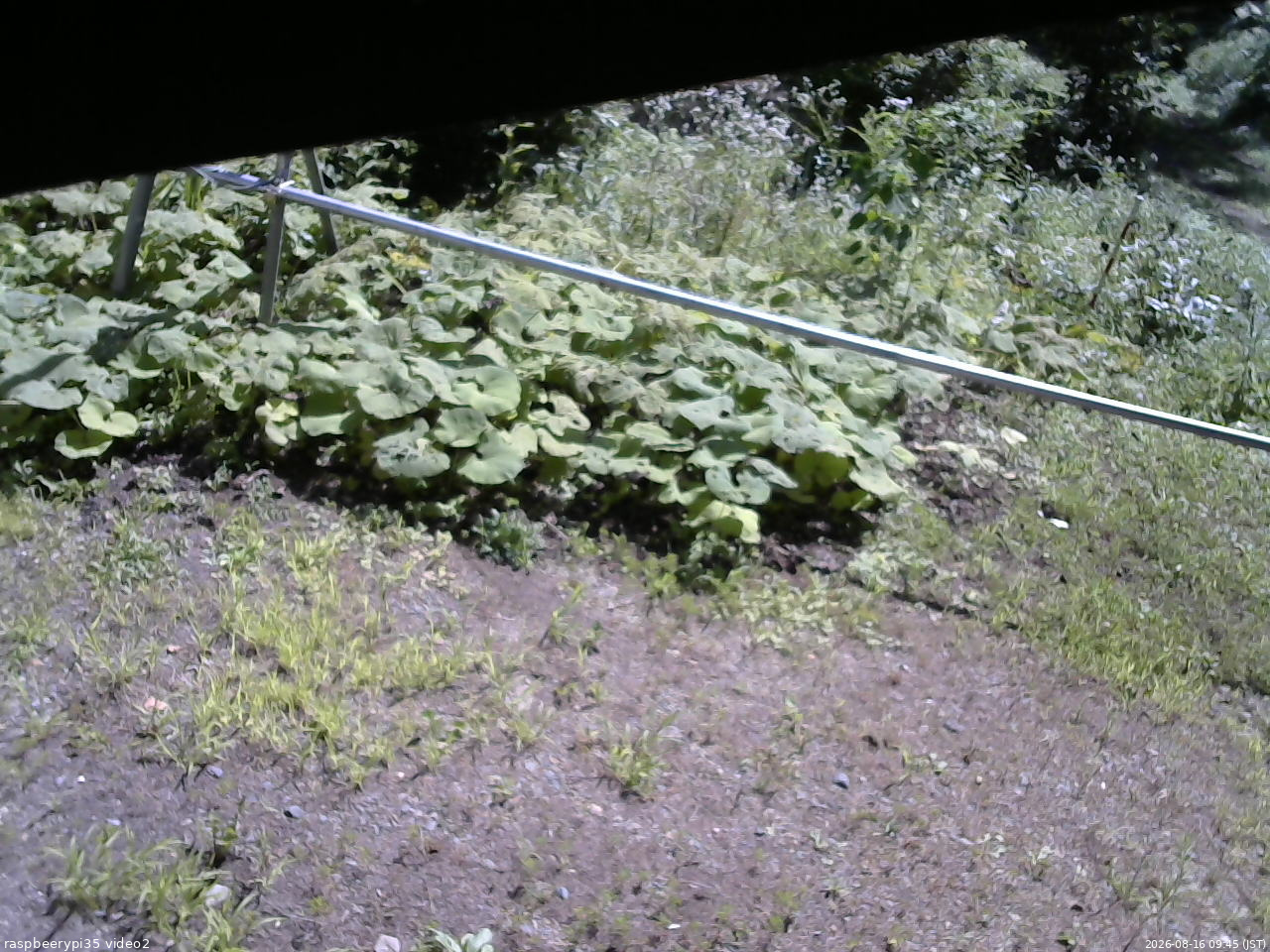 長野県菅平高原 ゆたか山荘 駐車場 2026/08/16 09:45