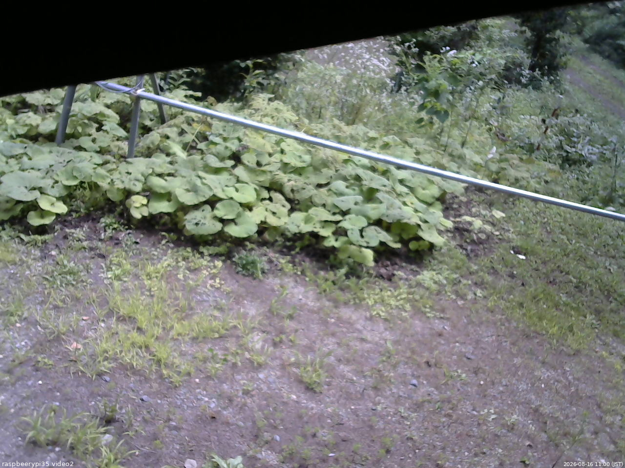長野県菅平高原 ゆたか山荘 駐車場 2026/08/16 11:00