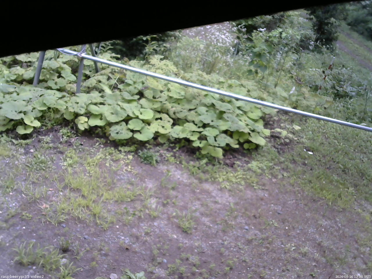 長野県菅平高原 ゆたか山荘 駐車場 2026/08/16 12:00