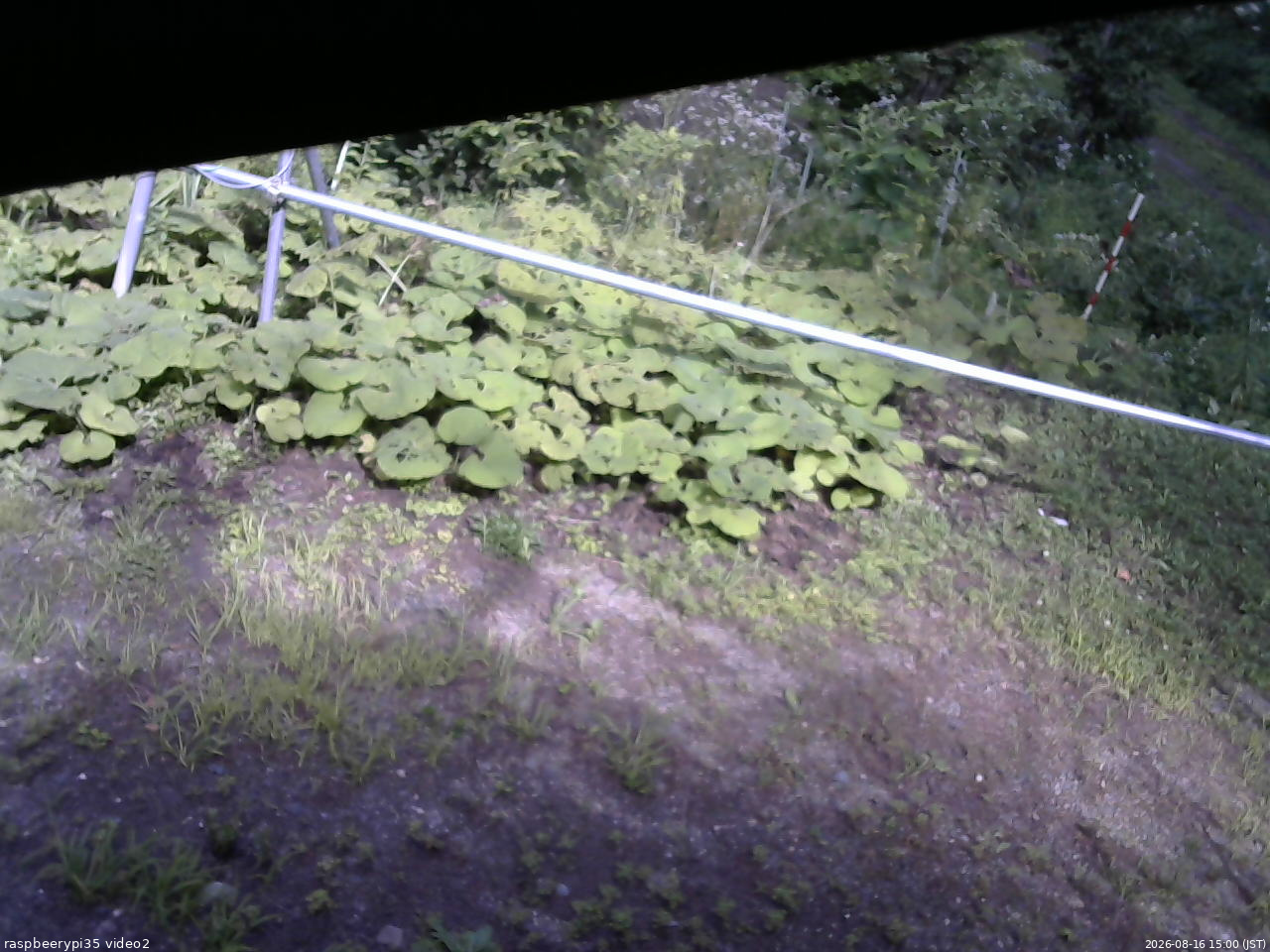 長野県菅平高原 ゆたか山荘 駐車場 2026/08/16 15:00