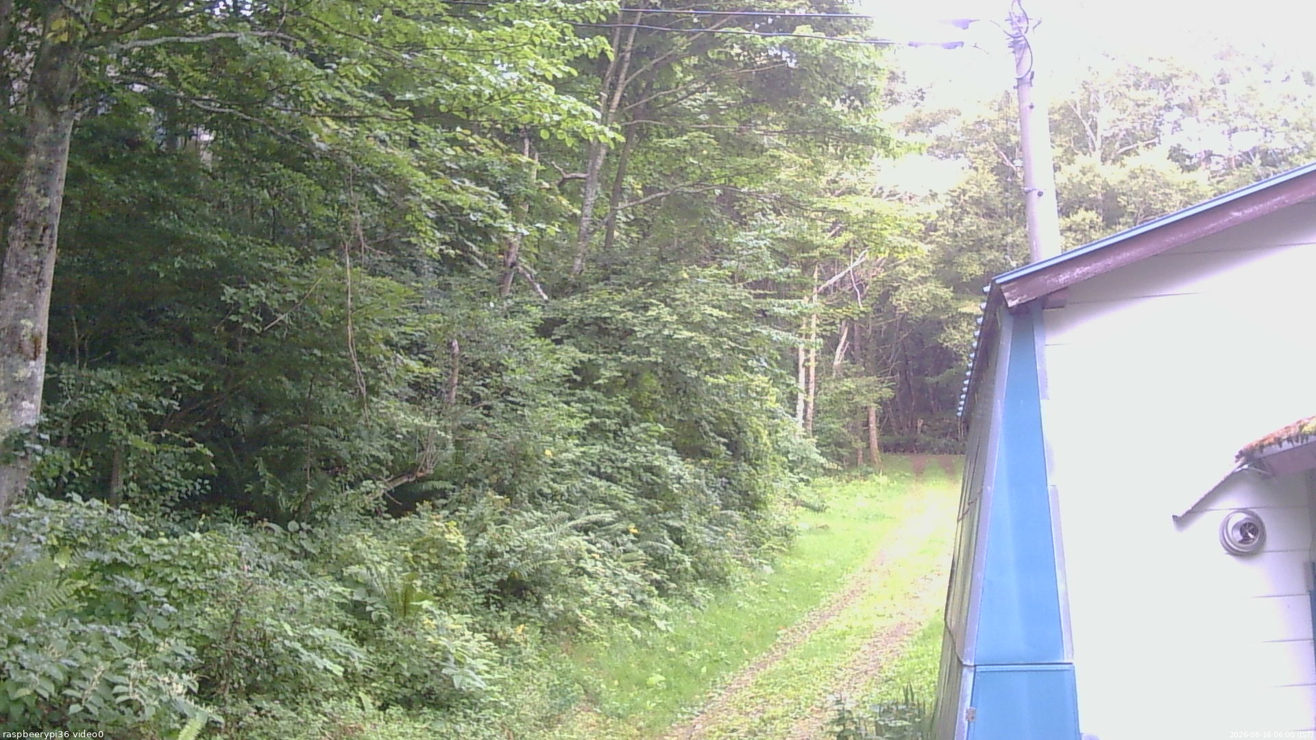 長野県菅平高原 ゆたか山荘 ゆたか山荘 2026/08/16 06:00