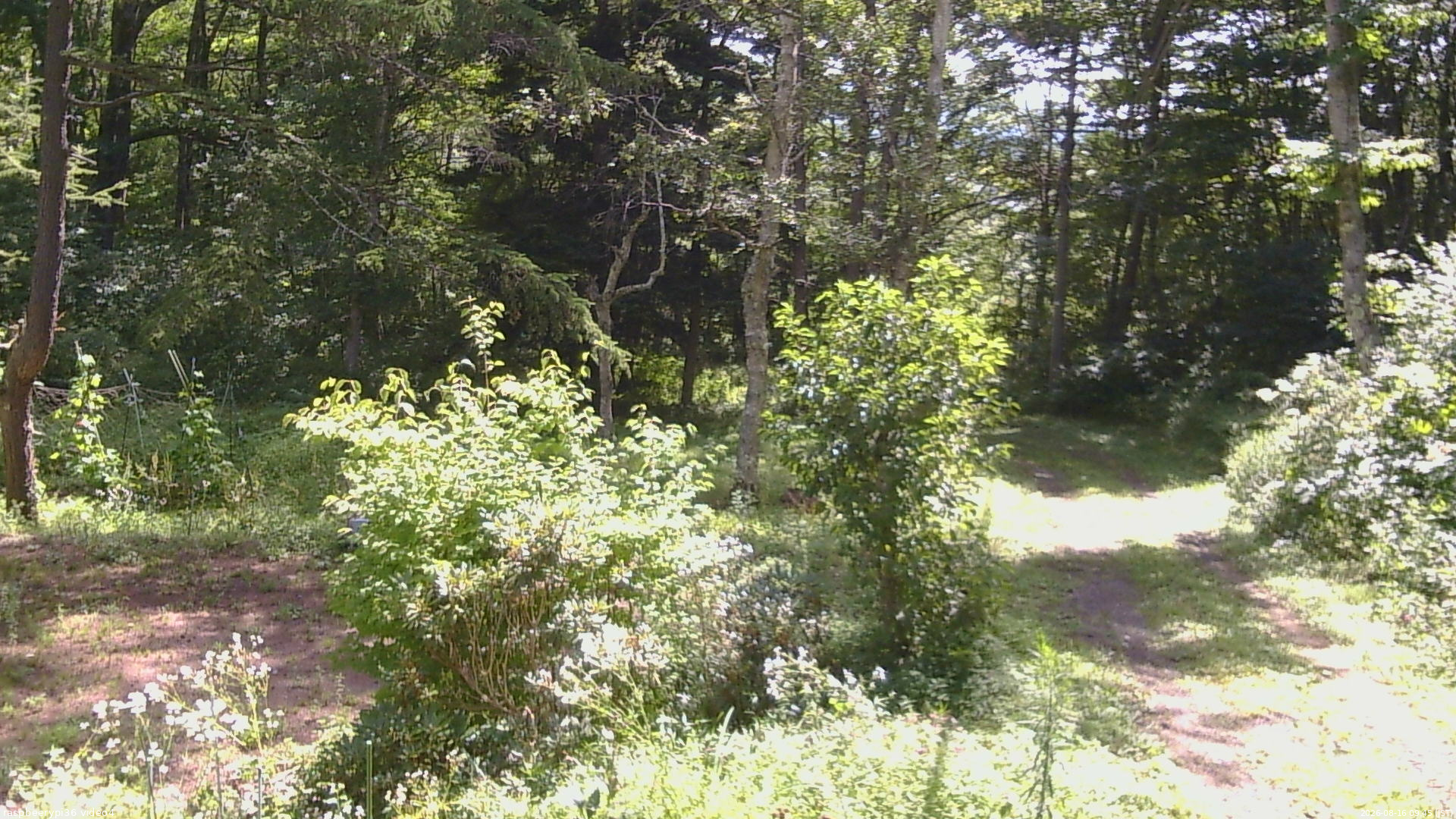長野県菅平高原 ゆたか山荘 坂上 2026/08/16 09:45