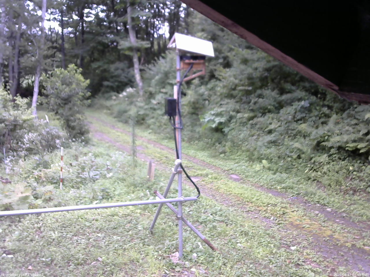長野県菅平高原 ゆたか山荘 南側 2026/08/17 07:45