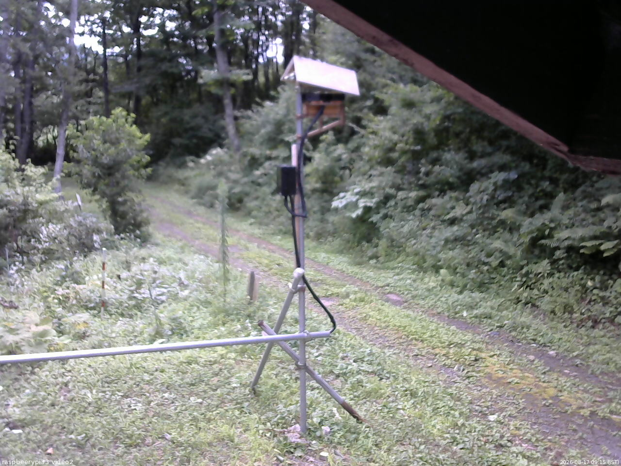 長野県菅平高原 ゆたか山荘 南側 2026/08/17 09:15