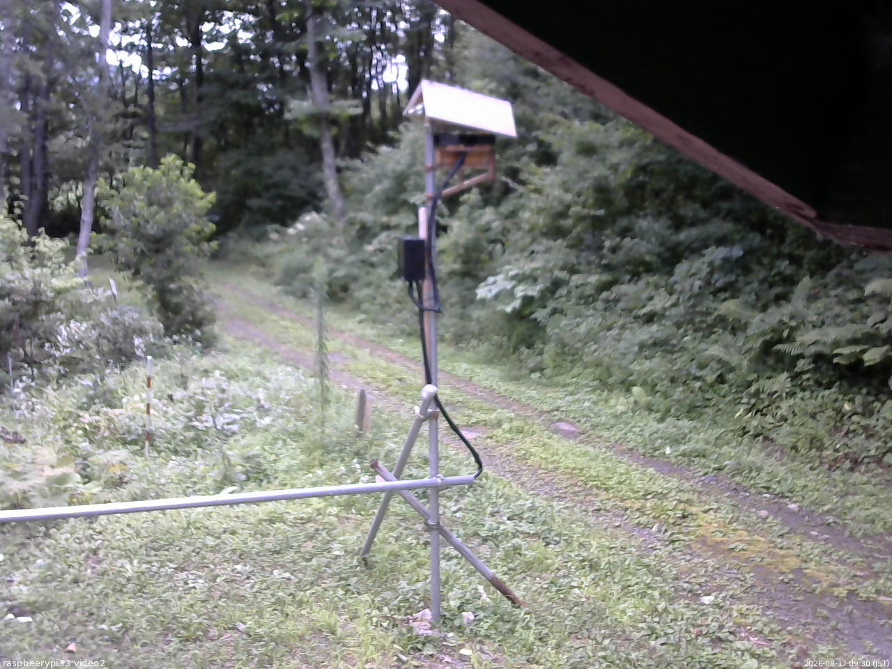 長野県菅平高原 ゆたか山荘 南側 2026/08/17 09:30
