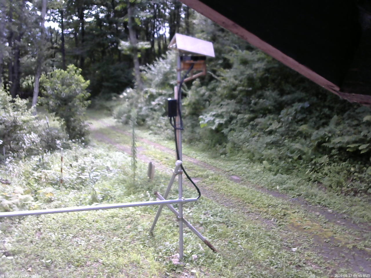 長野県菅平高原 ゆたか山荘 南側 2026/08/17 09:45