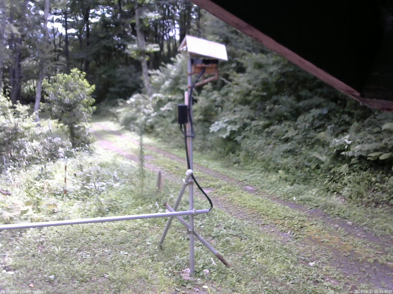 長野県菅平高原 ゆたか山荘 南側 2026/08/17 10:45