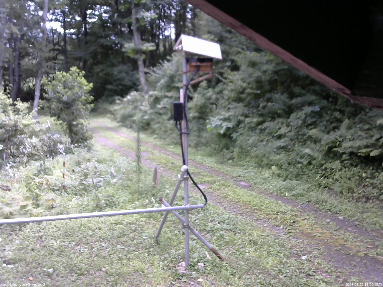 長野県菅平高原 ゆたか山荘 南側 2026/08/17 11:00