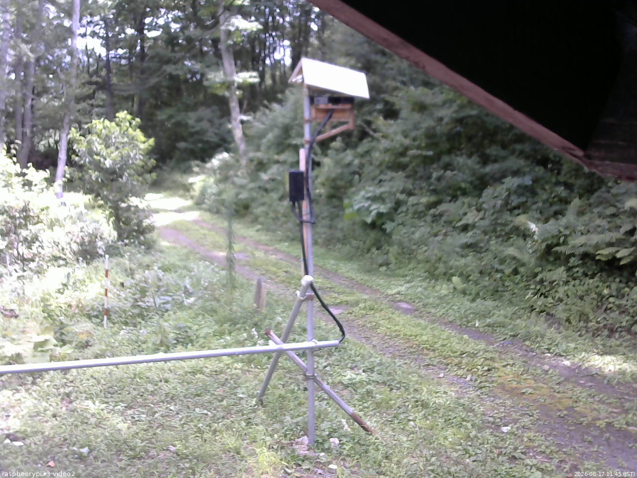 長野県菅平高原 ゆたか山荘 南側 2026/08/17 11:45