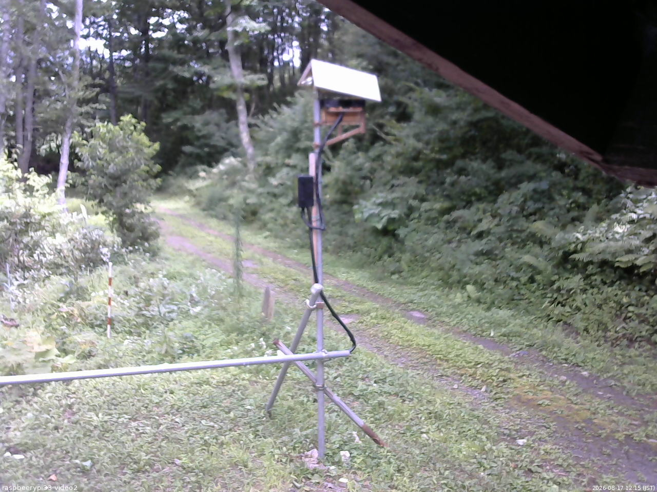 長野県菅平高原 ゆたか山荘 南側 2026/08/17 12:15