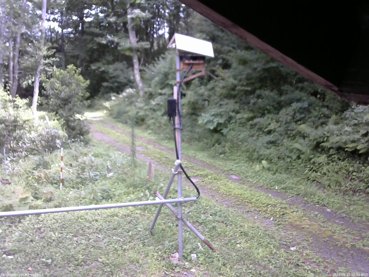 長野県菅平高原 ゆたか山荘 南側 2026/08/17 12:30