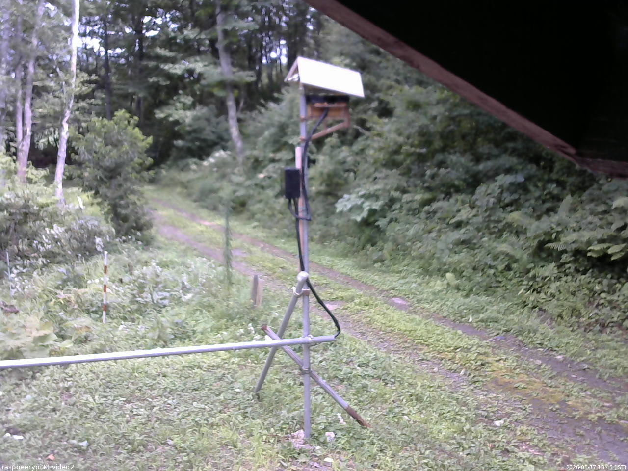 長野県菅平高原 ゆたか山荘 南側 2026/08/17 13:45