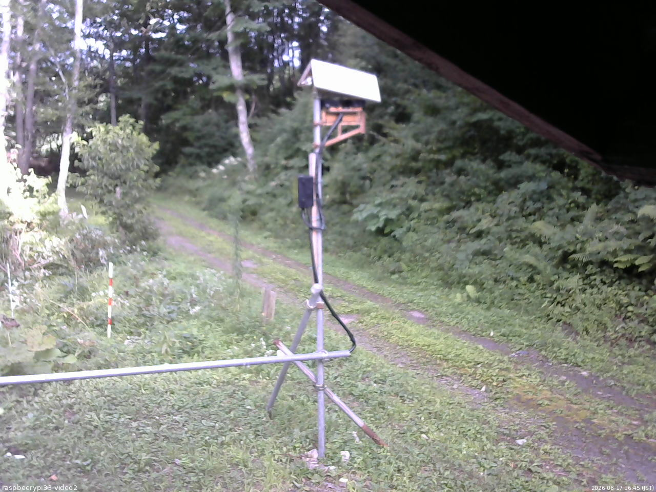 長野県菅平高原 ゆたか山荘 南側 2026/08/17 16:45