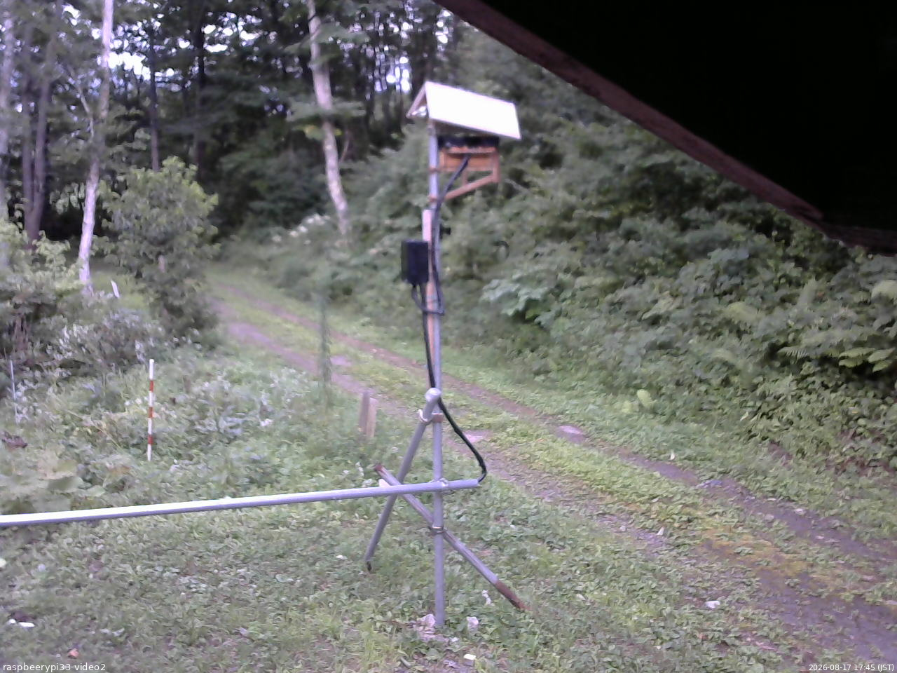 長野県菅平高原 ゆたか山荘 南側 2026/08/17 17:45