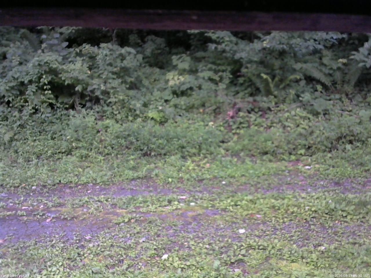 長野県菅平高原 ゆたか山荘 東側(坂下) 2026/08/17 05:30