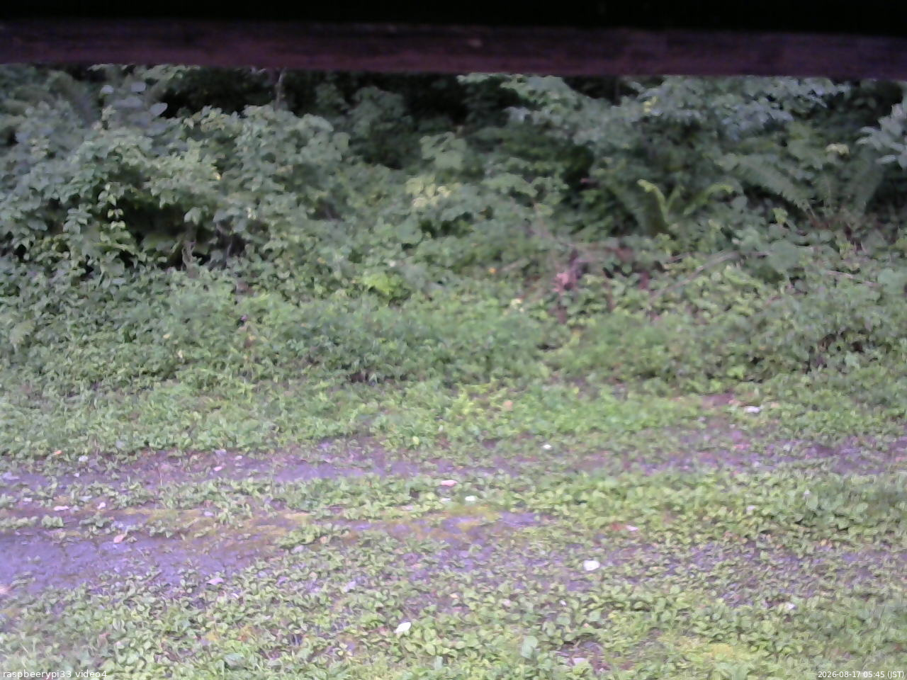 長野県菅平高原 ゆたか山荘 東側(坂下) 2026/08/17 05:45