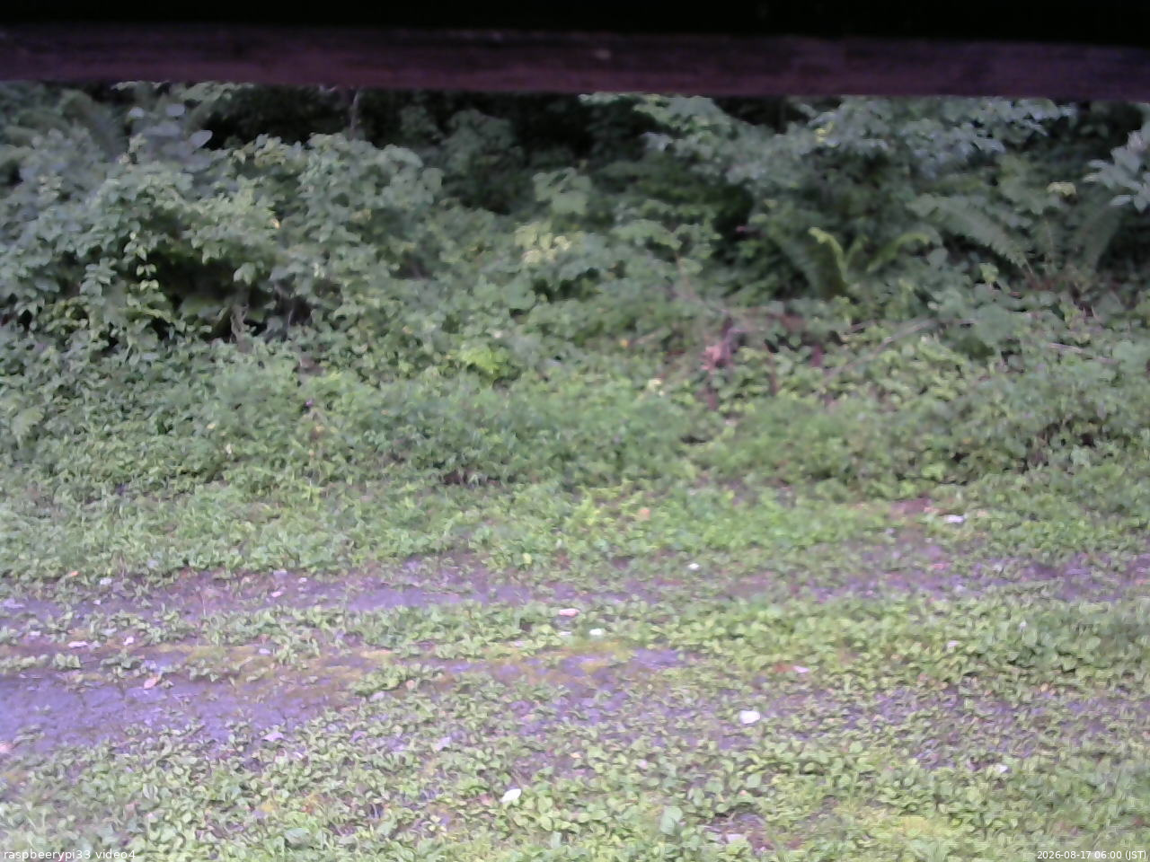 長野県菅平高原 ゆたか山荘 東側(坂下) 2026/08/17 06:00
