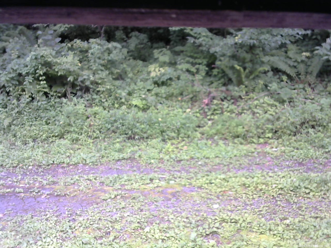 長野県菅平高原 ゆたか山荘 東側(坂下) 2026/08/17 08:00