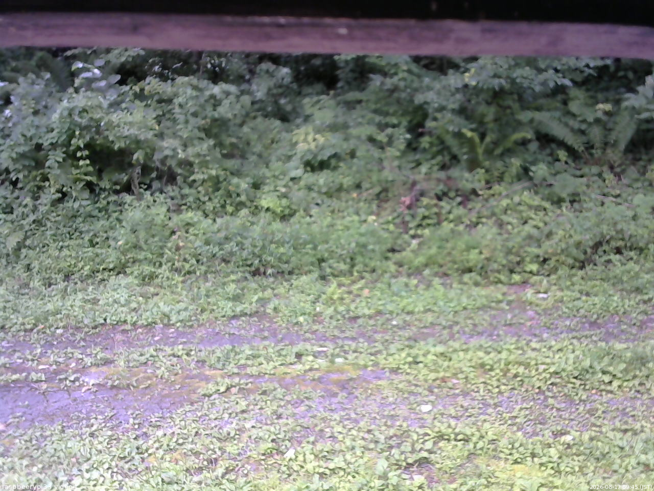 長野県菅平高原 ゆたか山荘 東側(坂下) 2026/08/17 09:45