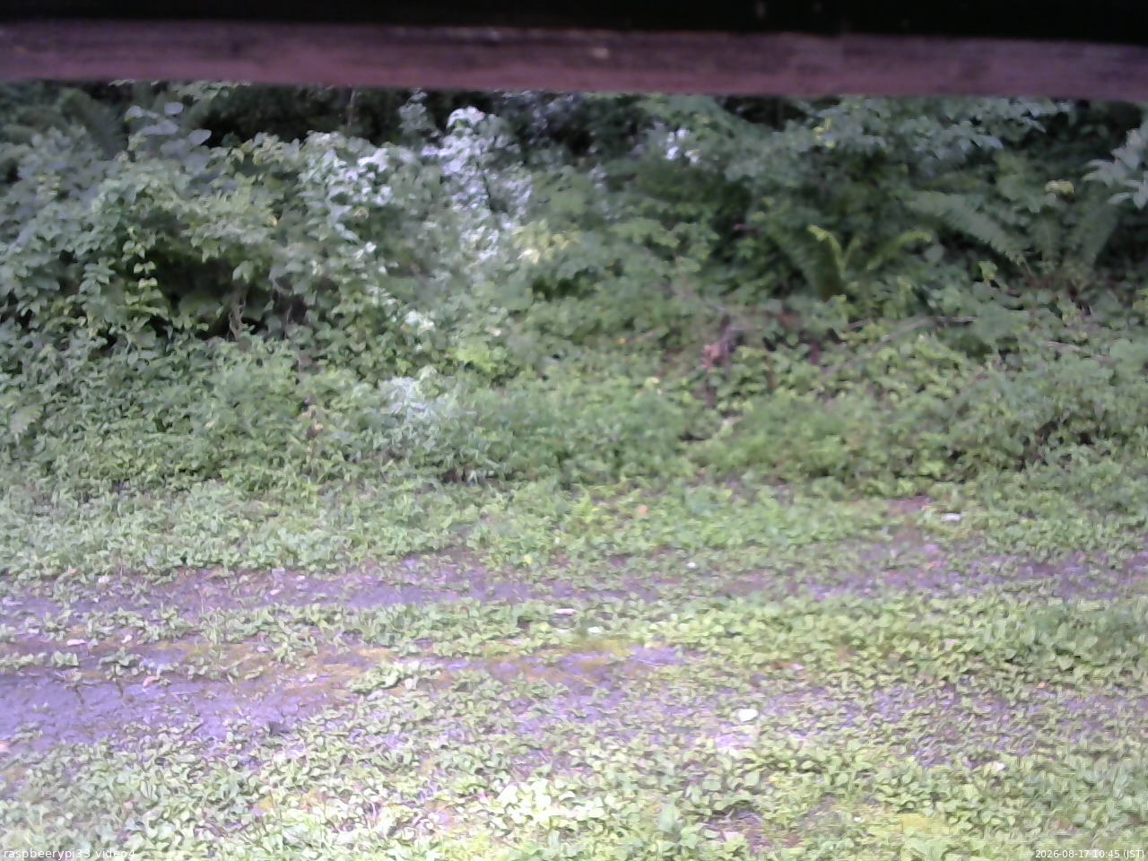 長野県菅平高原 ゆたか山荘 東側(坂下) 2026/08/17 10:45