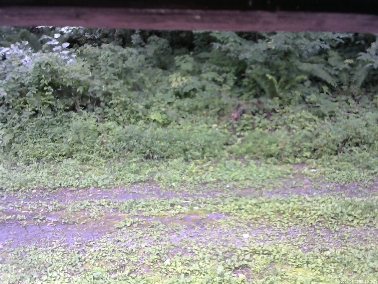 長野県菅平高原 ゆたか山荘 東側(坂下) 2026/08/17 11:30