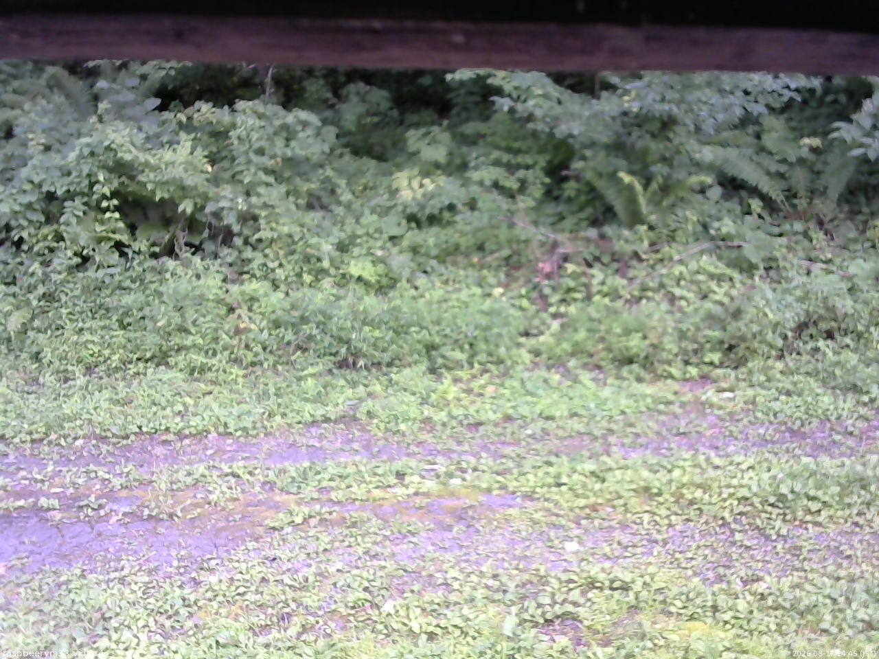 長野県菅平高原 ゆたか山荘 東側(坂下) 2026/08/17 14:45