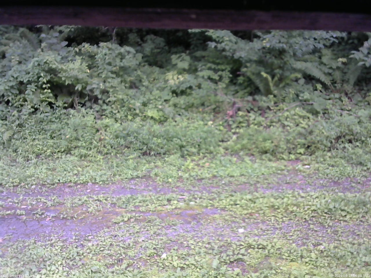長野県菅平高原 ゆたか山荘 東側(坂下) 2026/08/17 16:00