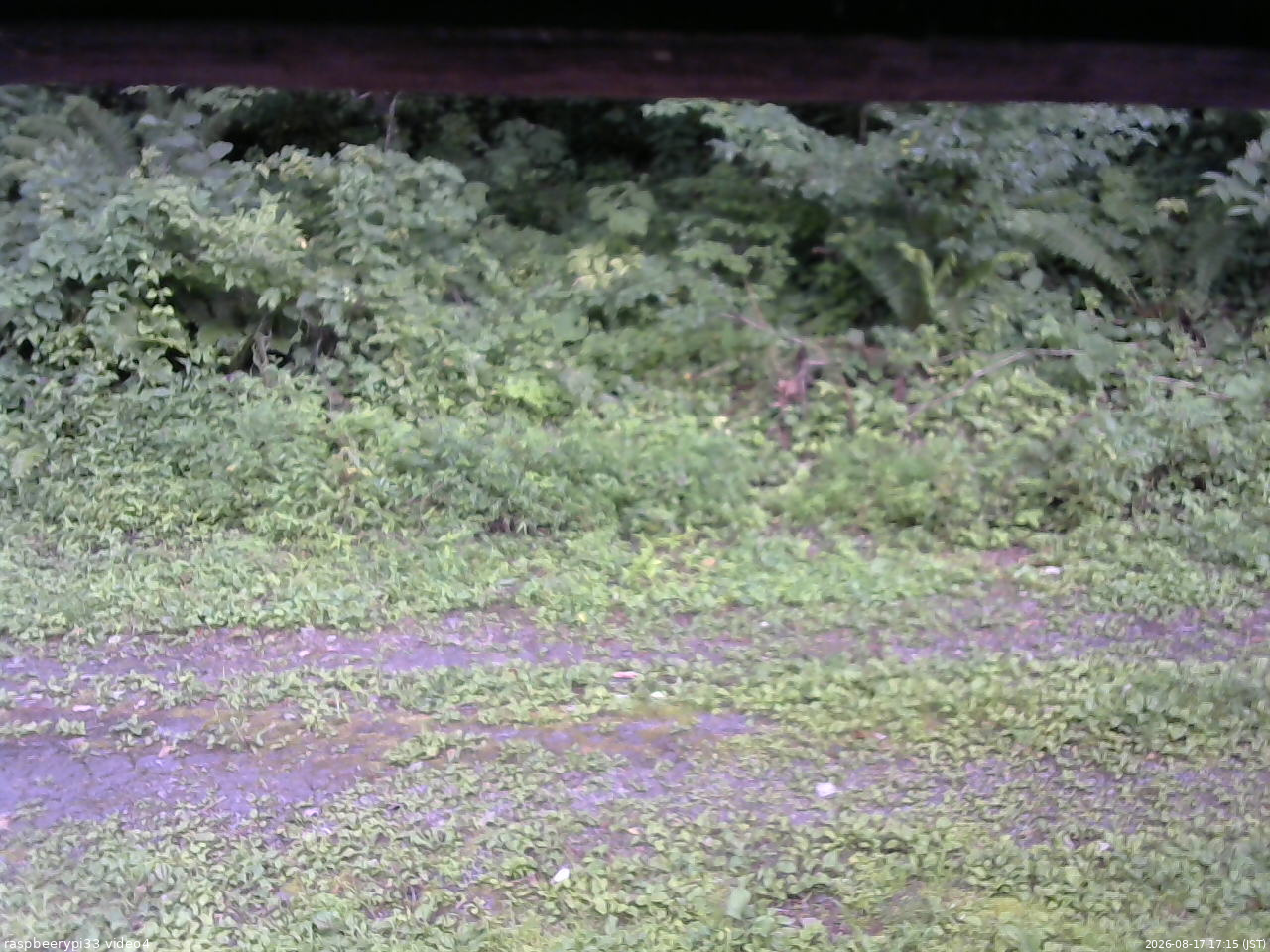 長野県菅平高原 ゆたか山荘 東側(坂下) 2026/08/17 17:15