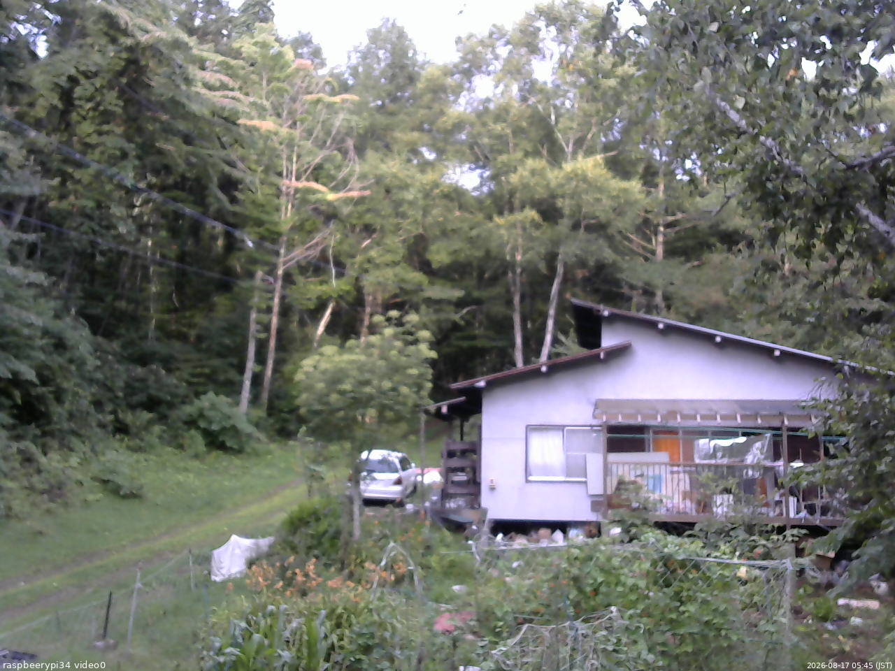 長野県菅平高原 ゆたか山荘 西側(坂上) 2026/08/17 05:45