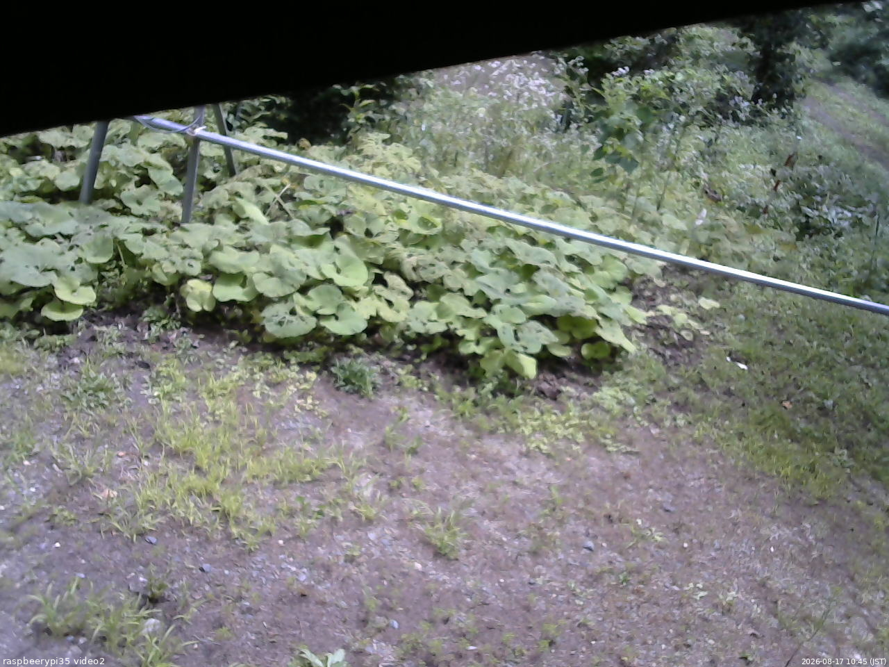 長野県菅平高原 ゆたか山荘 駐車場 2026/08/17 10:45