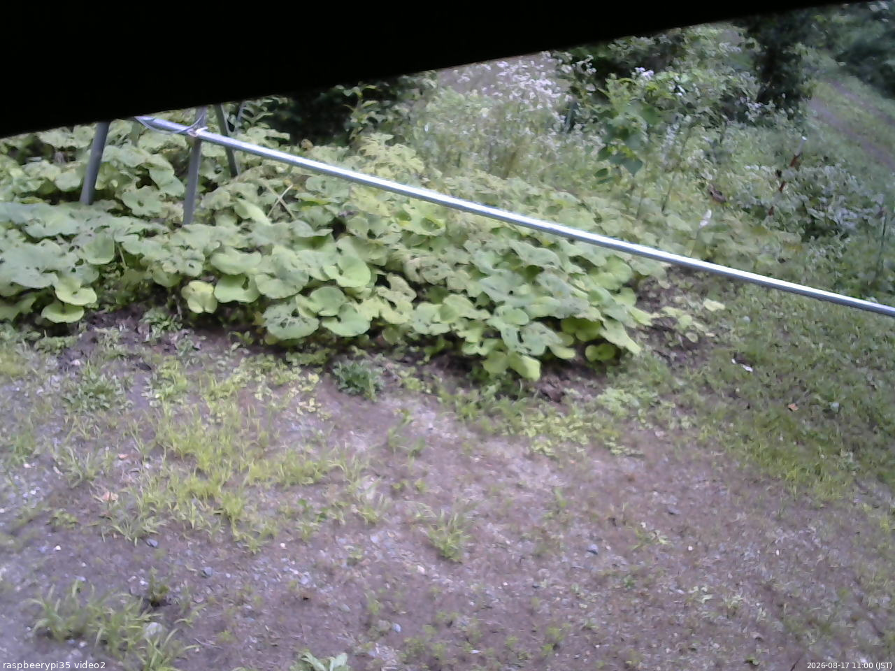 長野県菅平高原 ゆたか山荘 駐車場 2026/08/17 11:00