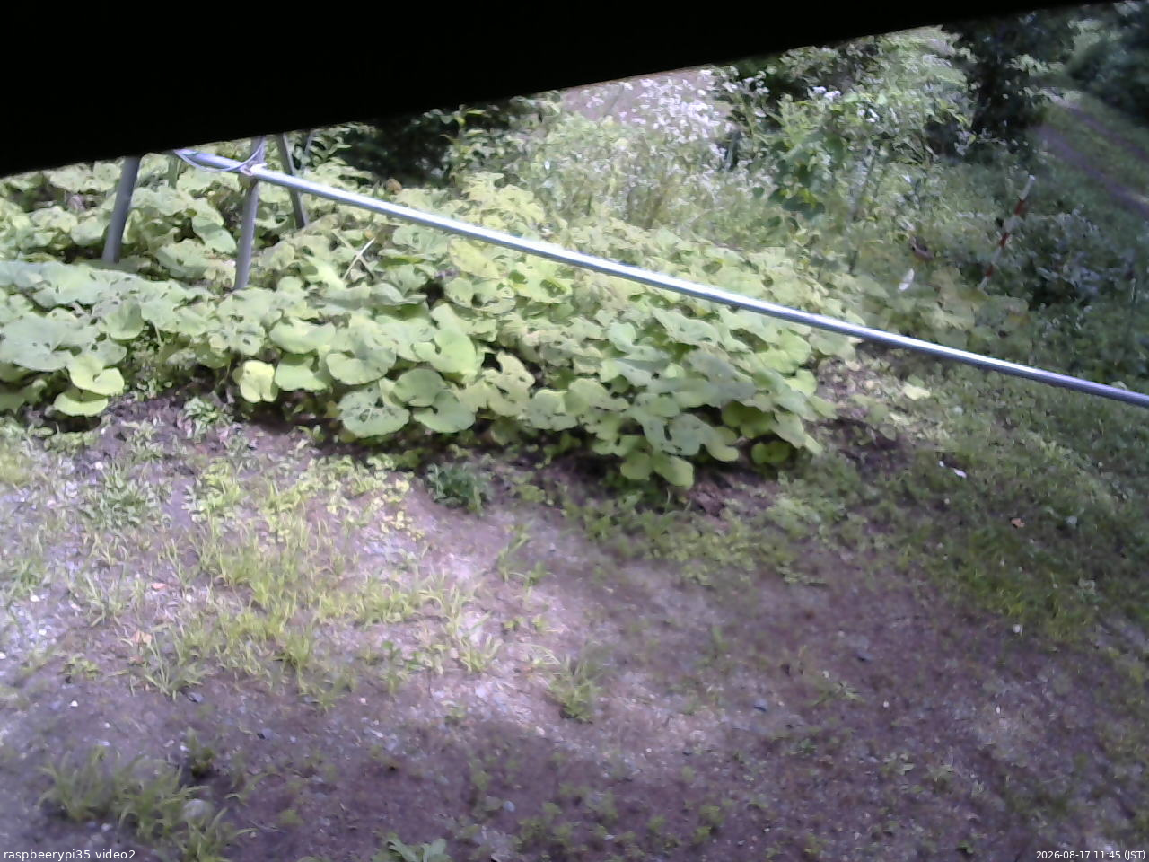 長野県菅平高原 ゆたか山荘 駐車場 2026/08/17 11:45