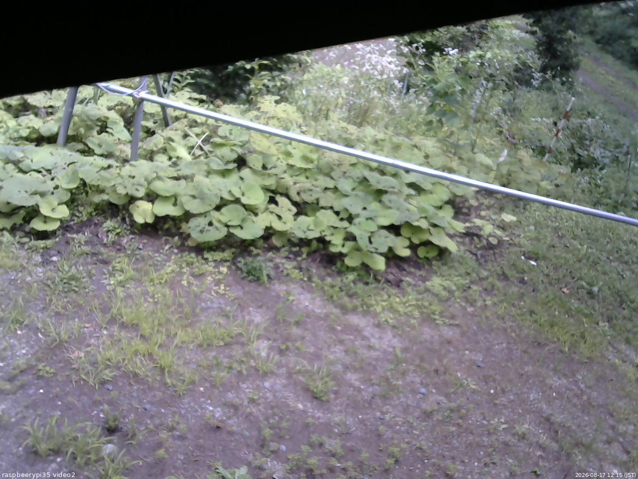 長野県菅平高原 ゆたか山荘 駐車場 2026/08/17 12:15