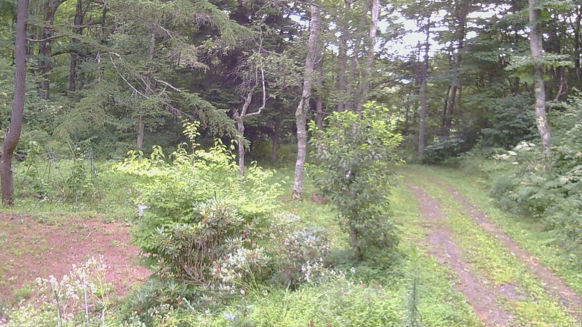長野県菅平高原 ゆたか山荘 坂上 2026/08/17 06:15