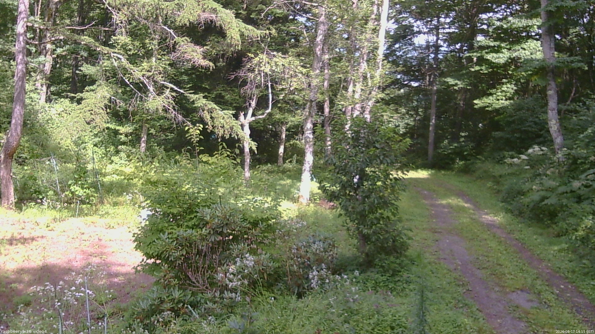 長野県菅平高原 ゆたか山荘 坂上 2026/08/17 14:15