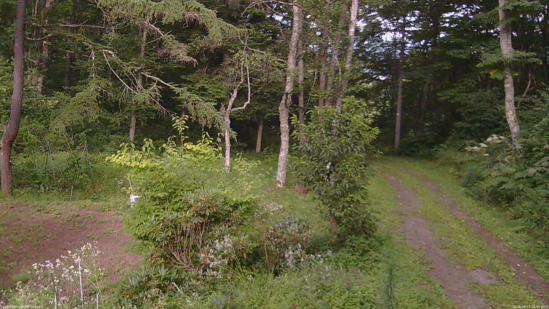 長野県菅平高原 ゆたか山荘 坂上 2026/08/17 16:30